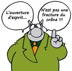Le chat de Ph. Geluk