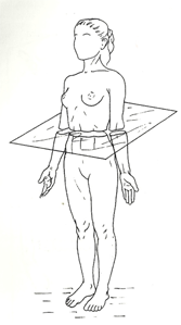 plan-horizontal